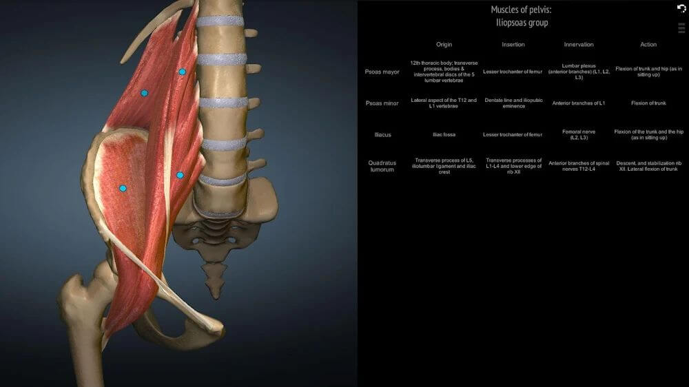 Anatomy Learning - 3D Anatomy Atlas screenshot 6