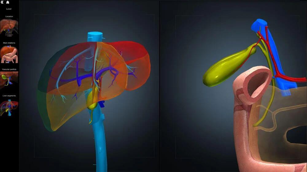 Anatomy Learning - 3D Anatomy Atlas screenshot 5