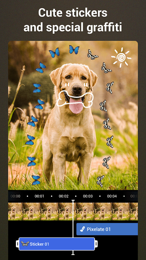 Video Editor & Camli HD Camera screenshot 6