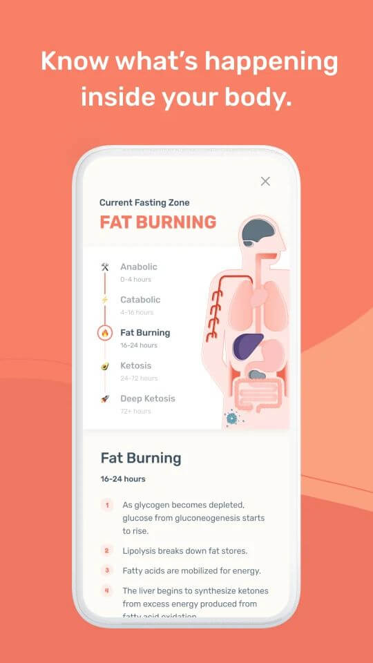 Zero - Intermittent Fasting screenshot 7