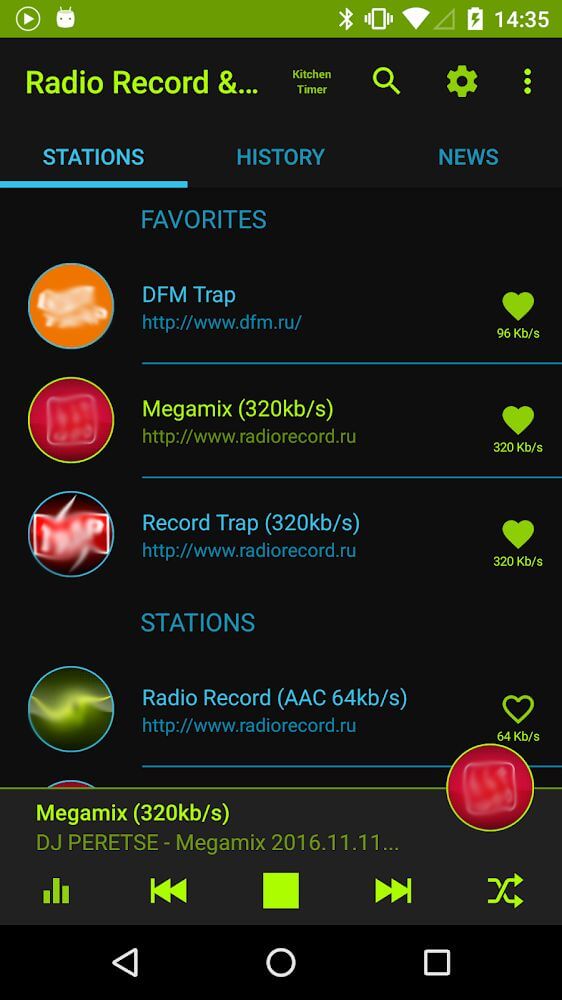 Record DFM screenshot 2