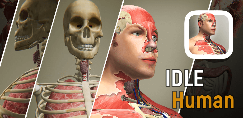 Idle Human screenshot 1