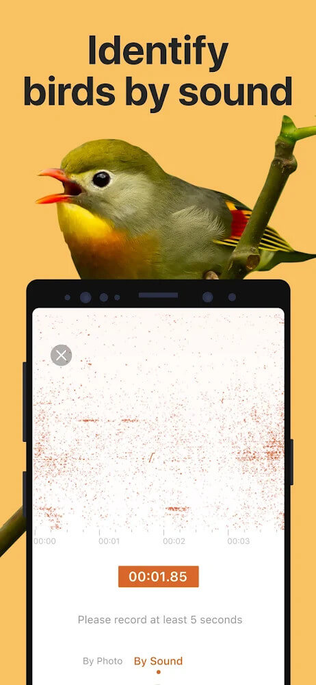 Picture Bird - Bird Identifier screenshot 4