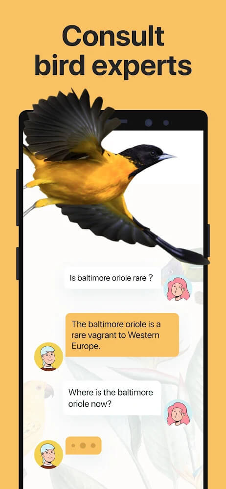 Picture Bird - Bird Identifier screenshot 7