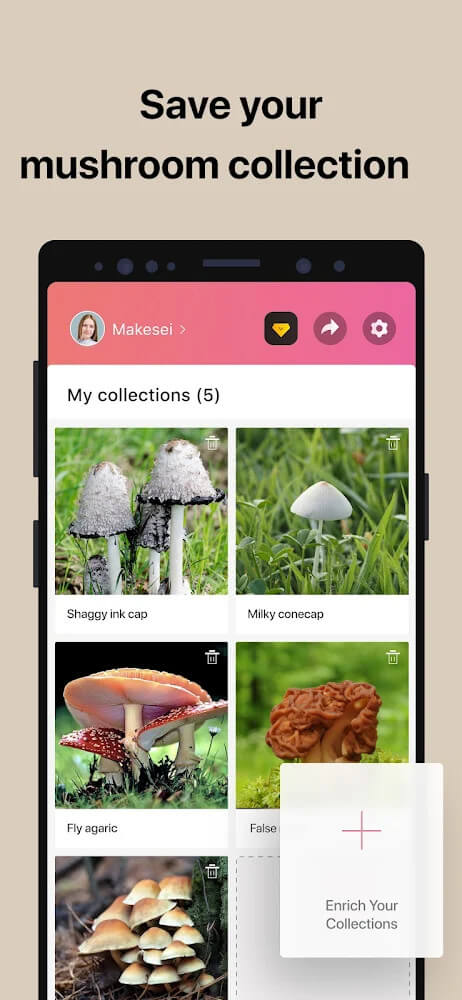 Picture Mushroom screenshot 7