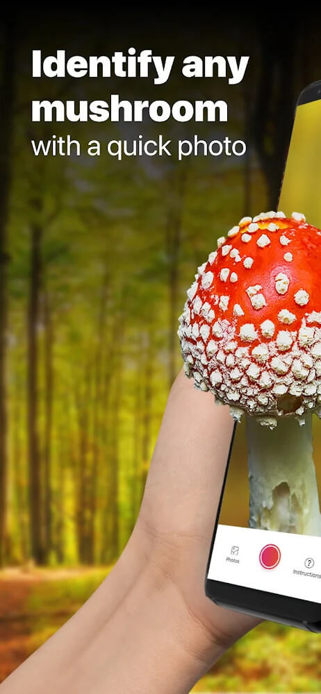 Picture Mushroom screenshot 2