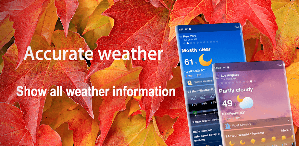 Local Weather Alerts widget screenshot 1