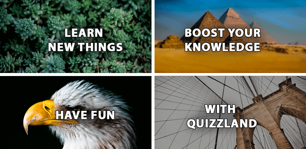 QuizzLand screenshot 1