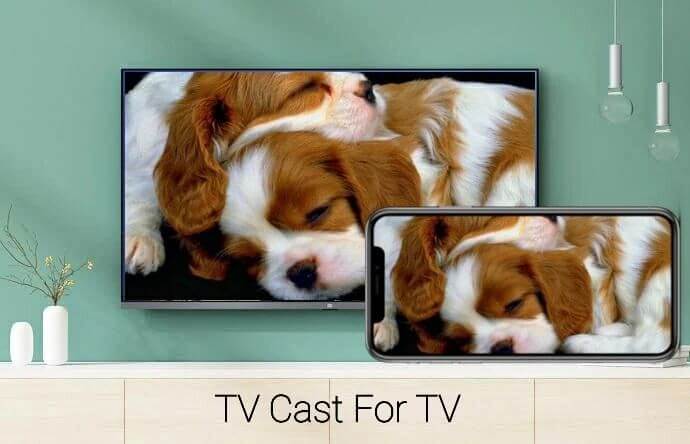 Miracast For Android to TV screenshot 5