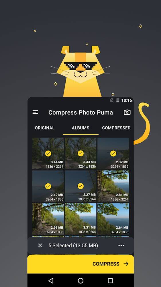 Puma Image Compressor Resizer screenshot 2