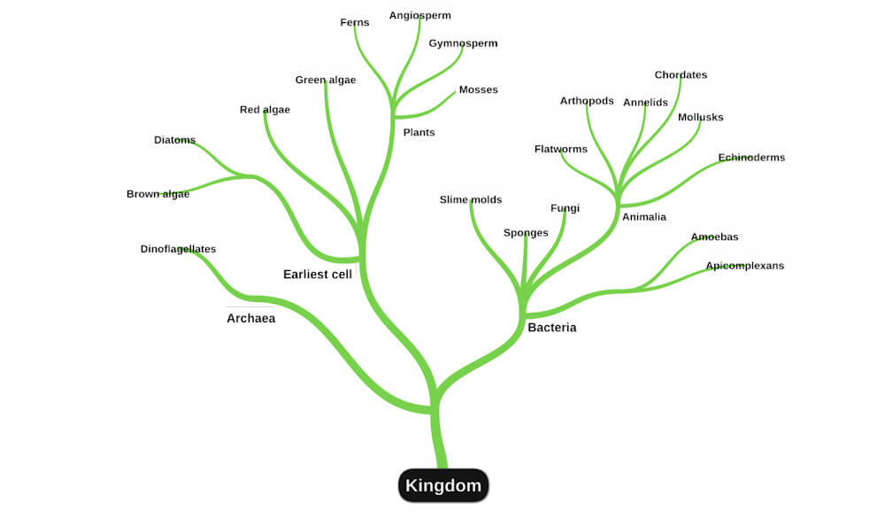miMind screenshot 3
