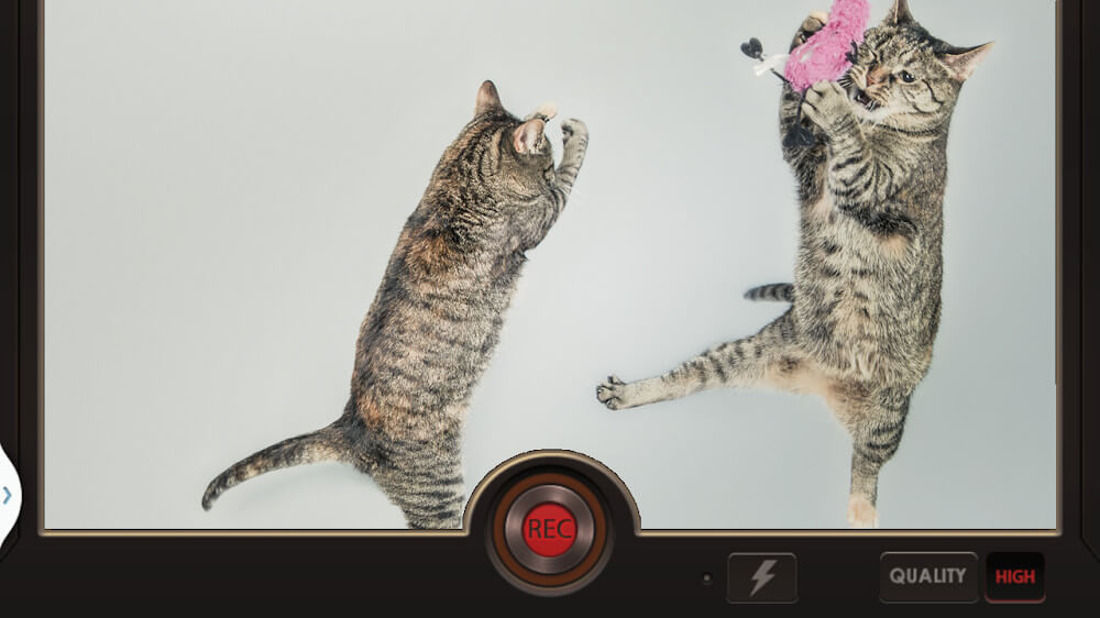 Slow Motion Video FX screenshot 6