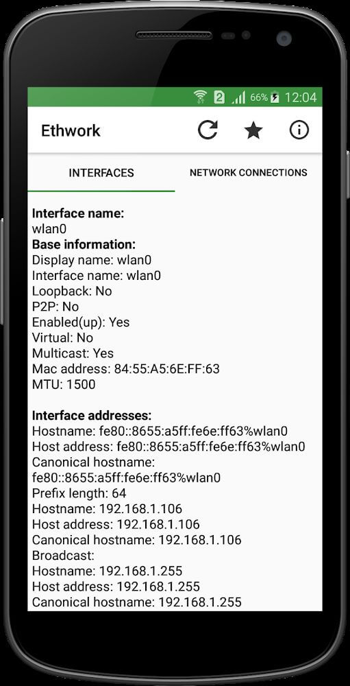 Ethwork: Netstat & Interfaces screenshot 2