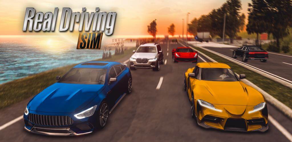 Real Driving Sim screenshot 1