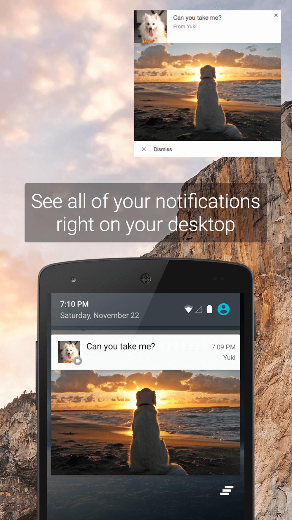 Pushbullet screenshot 4