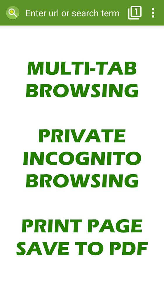 Tiny Browser Pro screenshot 2