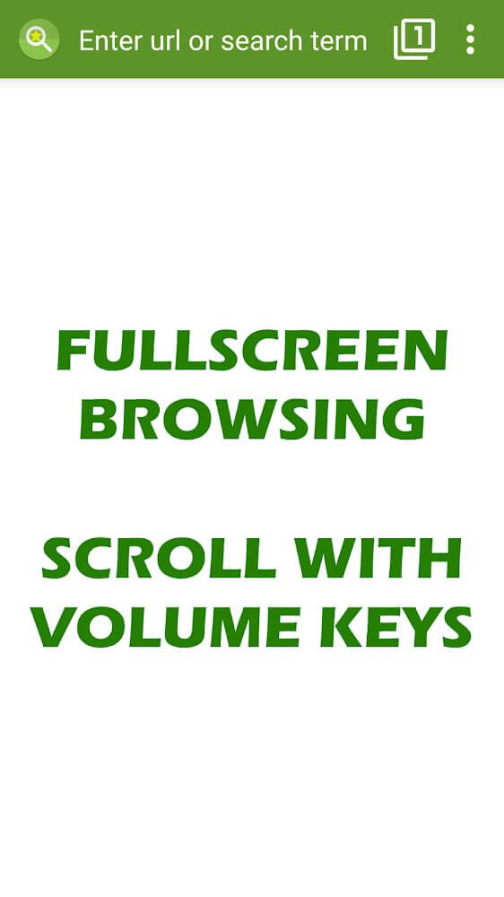 Tiny Browser Pro screenshot 3