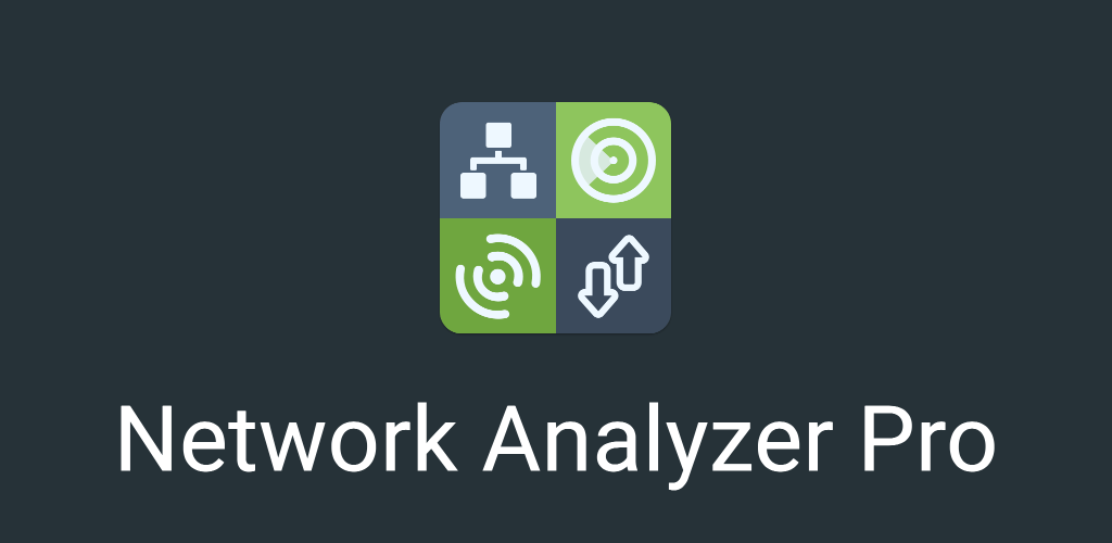 Network Analyzer Pro screenshot 1