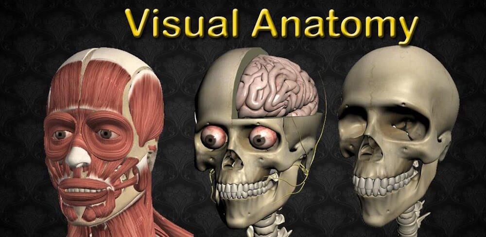 Visual Anatomy 2 screenshot 1