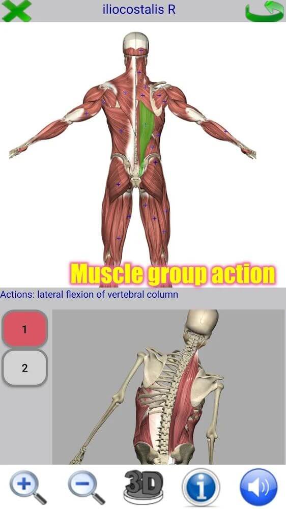 Visual Anatomy 2 screenshot 3
