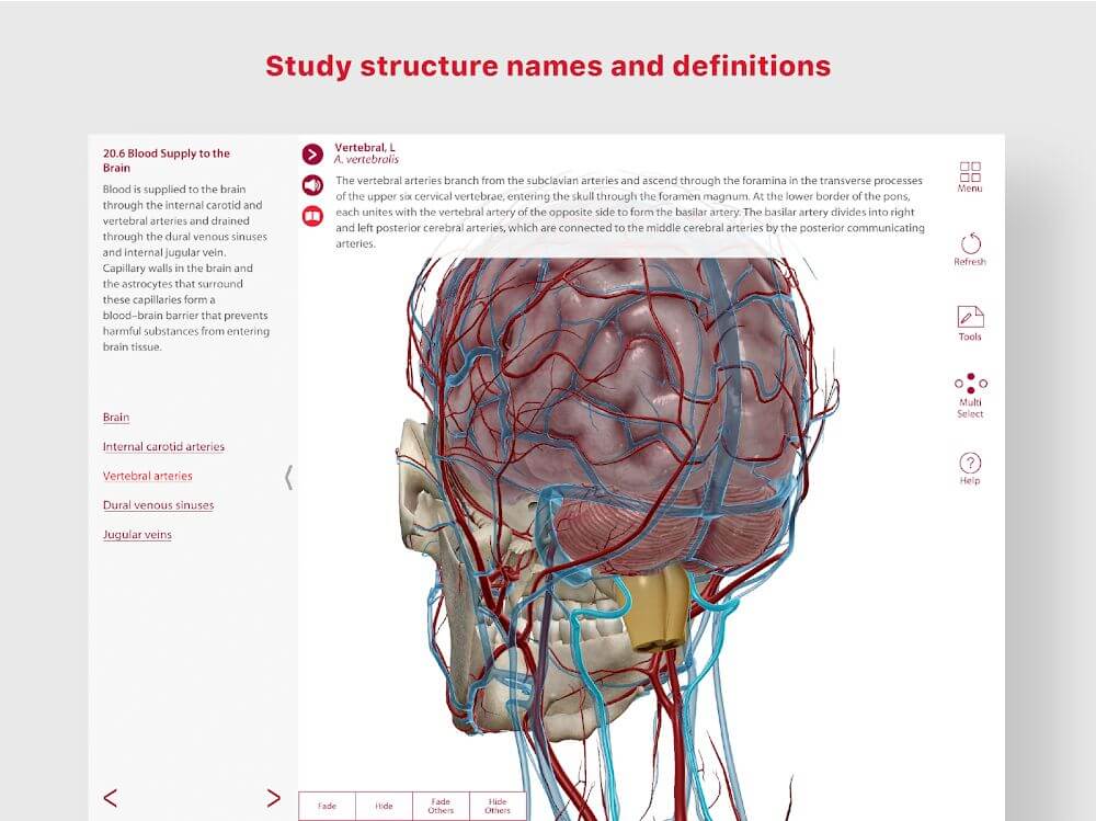 Anatomy & Physiology screenshot 5