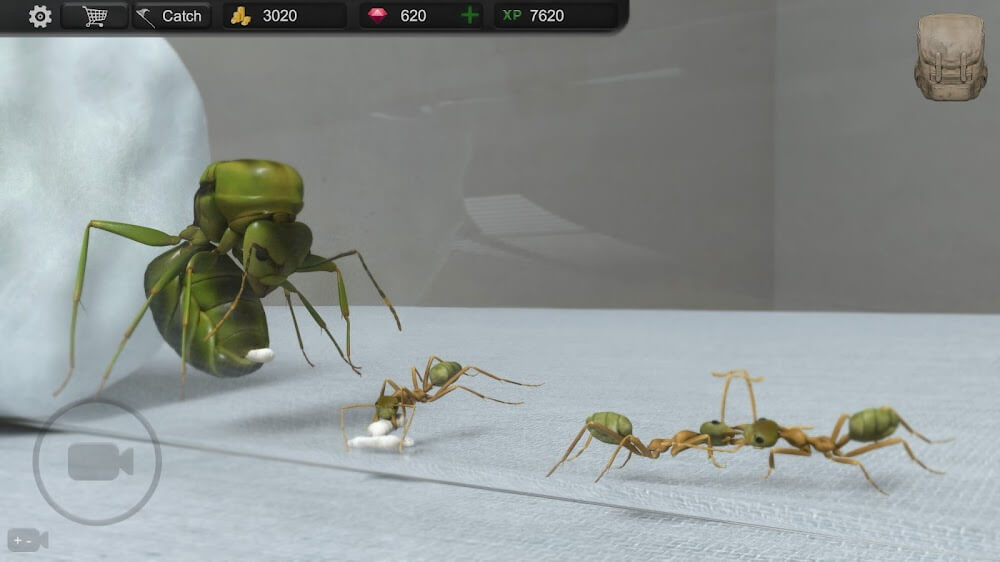 Ant Sim Tycoon screenshot 2