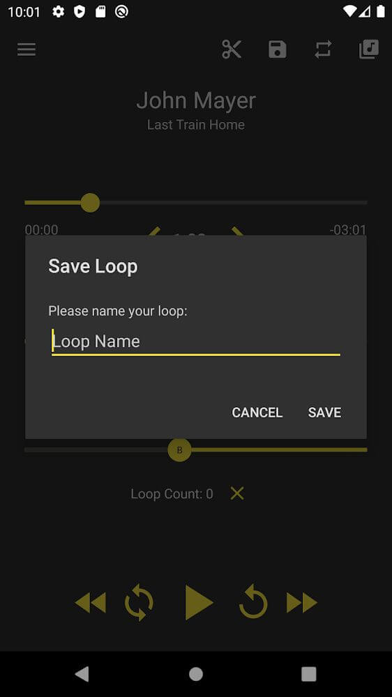 Loop Player screenshot 4