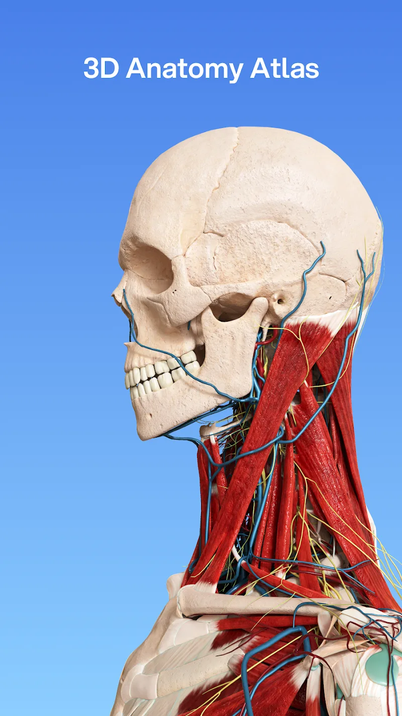 VOKA 3D Anatomy and Physiology preview 2