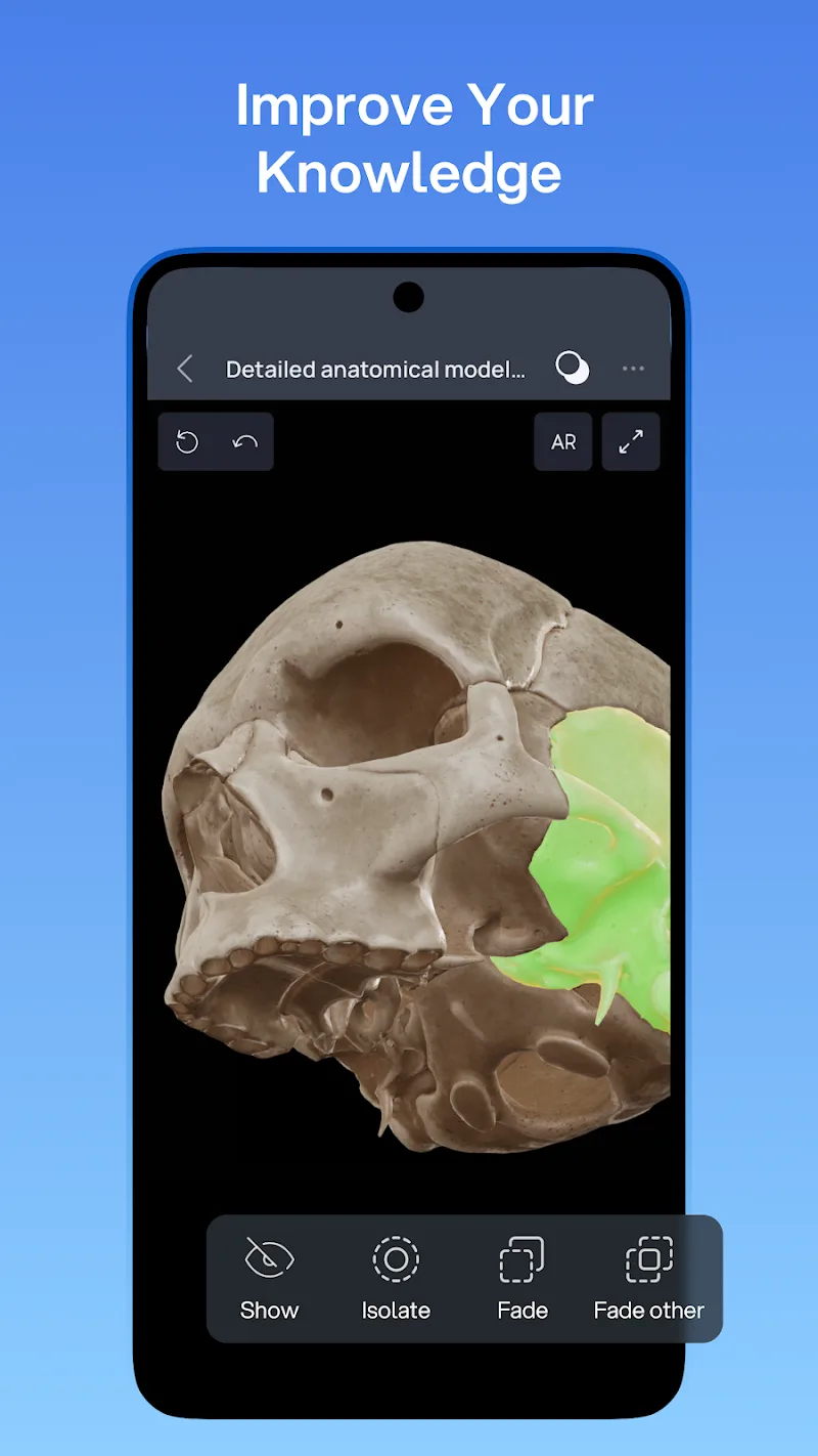 VOKA 3D Anatomy and Physiology preview 4