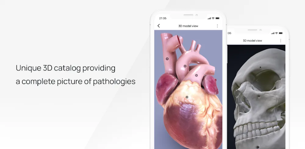 VOKA 3D Anatomy and Physiology preview 1