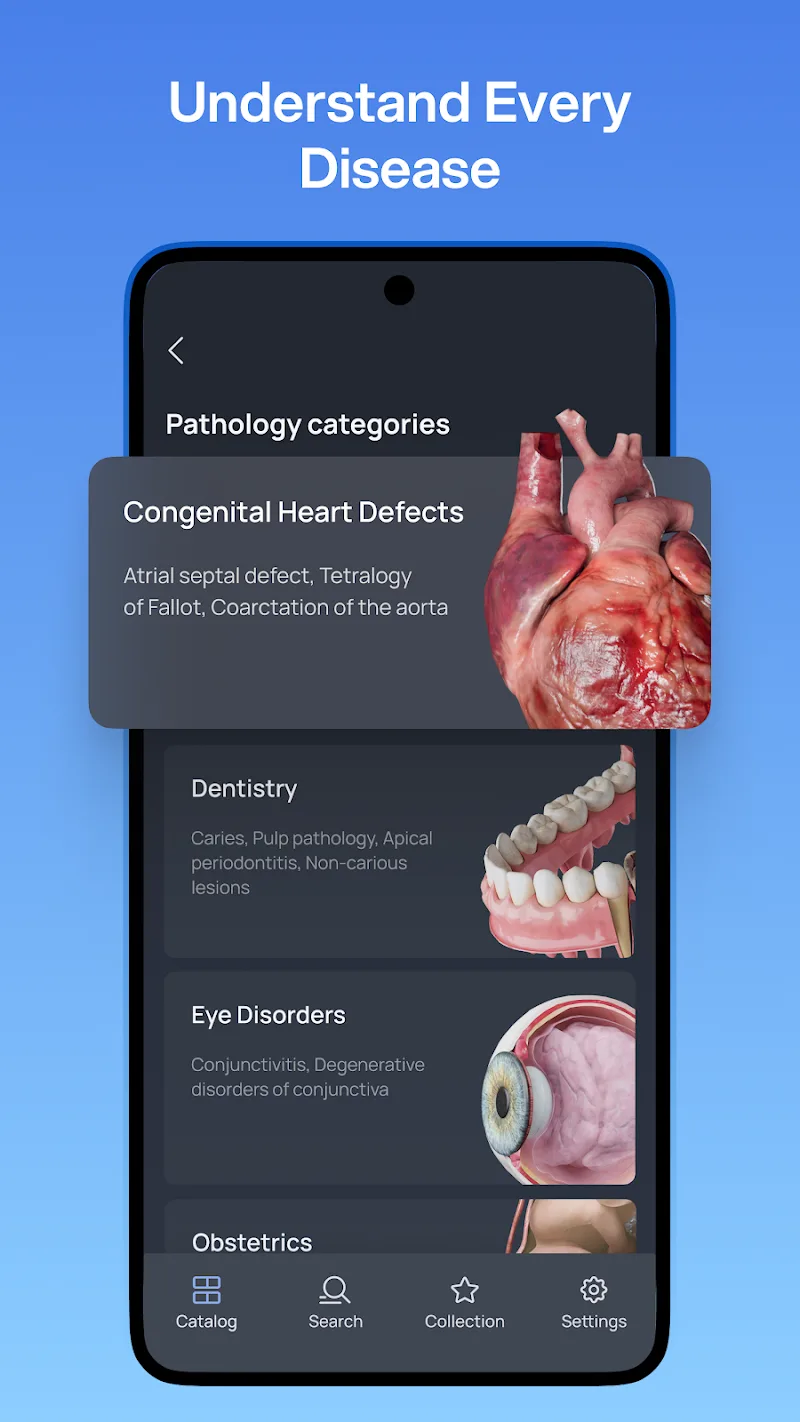 VOKA 3D Anatomy and Physiology preview 3