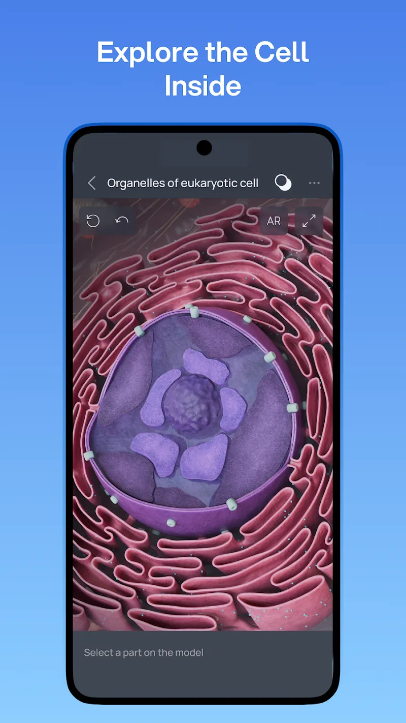 VOKA 3D Anatomy and Physiology preview 5