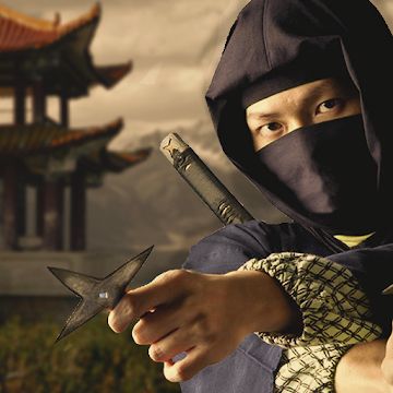 Ninja Assassin's Fighter