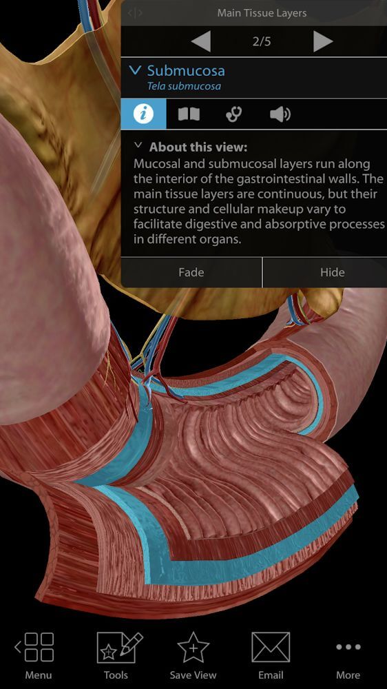 Physiology & Pathology screenshot 6