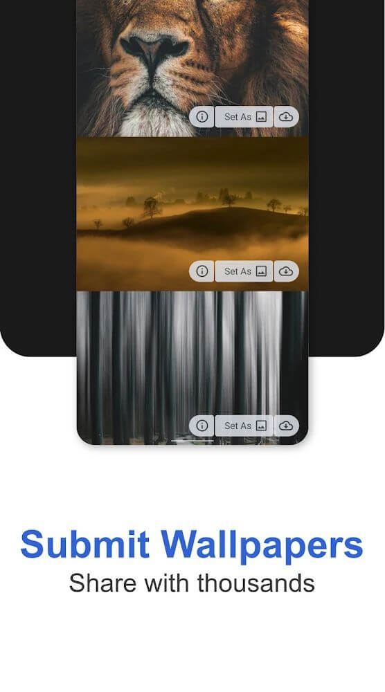 PaperSplash PRO screenshot 4