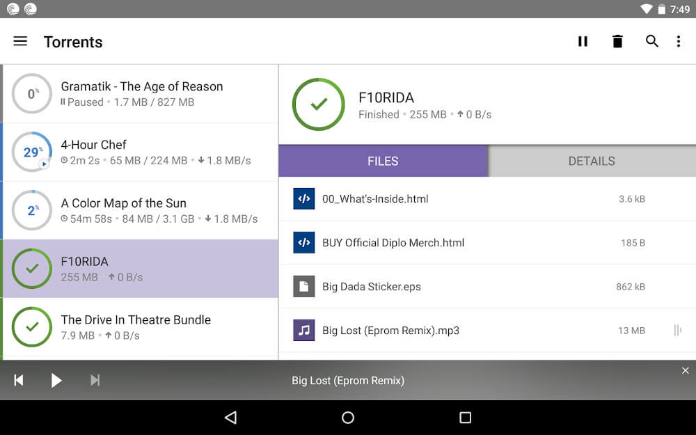 BitTorrent screenshot 7