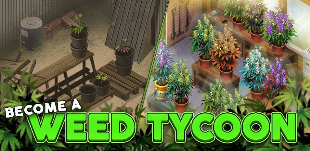 Hempire - Plant Growing Game screenshot 2