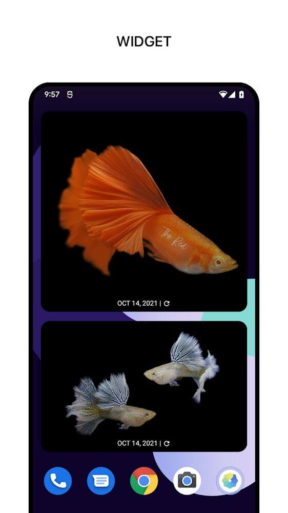 1Gallery screenshot 7