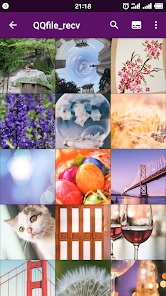 Smart Gallery - Photo Manager screenshot 3