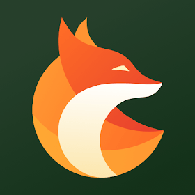 Fox Guard VPN
