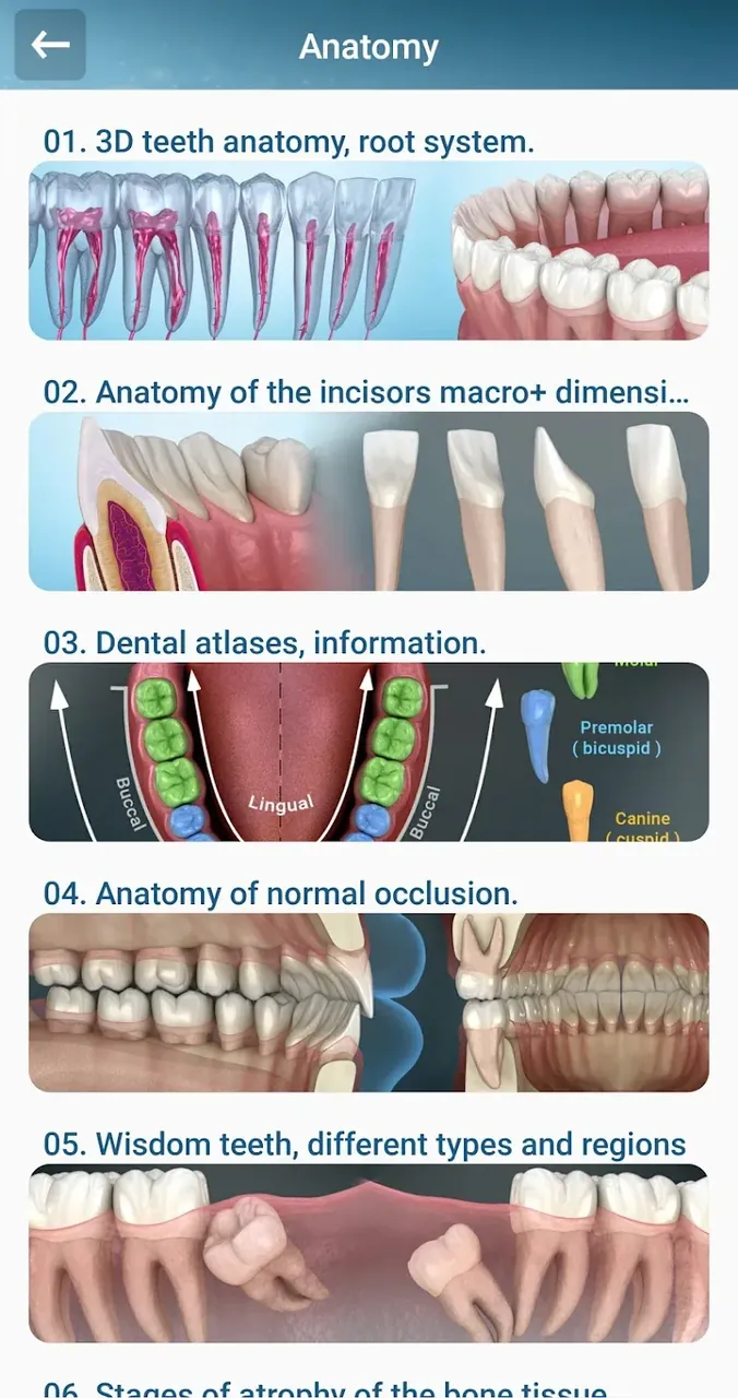 Dental 3D Illustrations screenshot 3