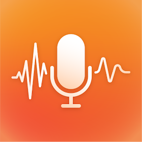 Ai Noise Reducer Audio Video