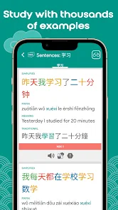 Chinese Dictionary Chinesimple screenshot 5