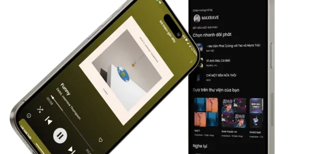 SimpMusic screenshot 2
