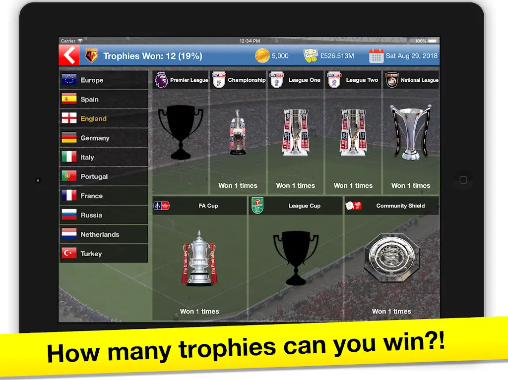 Soccer Tycoon: Football Game screenshot 7