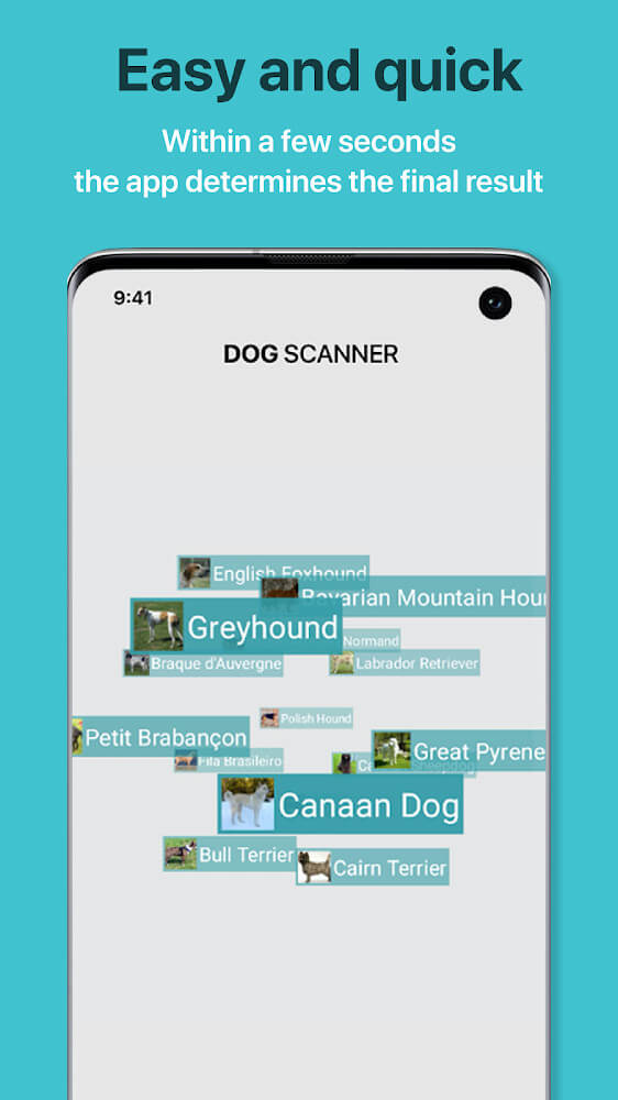 Dog Scanner screenshot 4