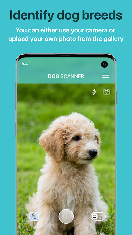 Dog Scanner screenshot 2