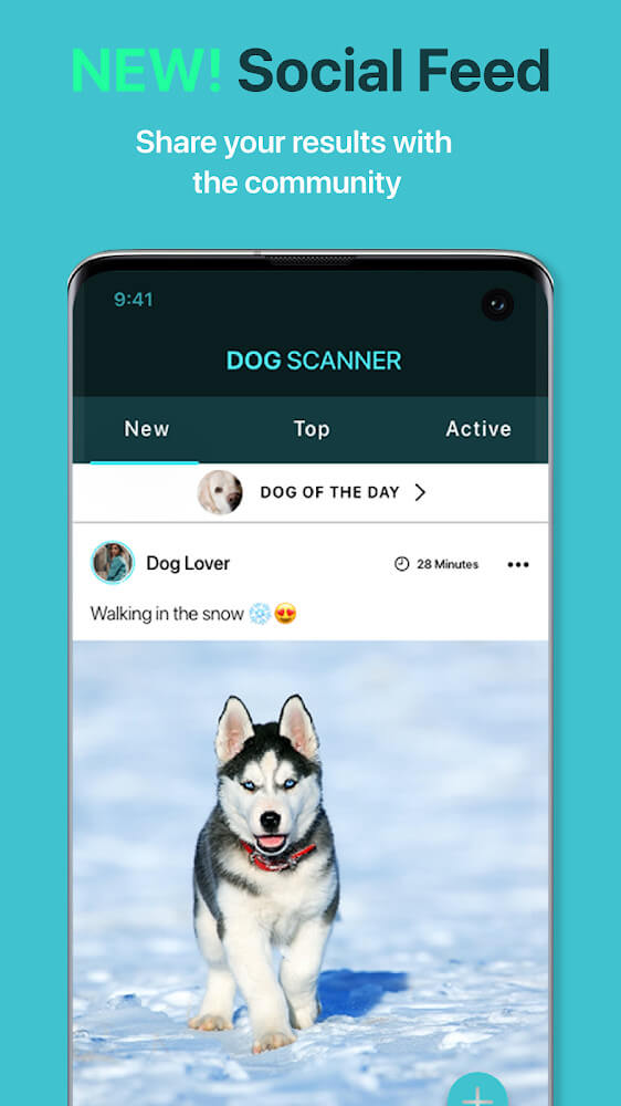 Dog Scanner screenshot 5