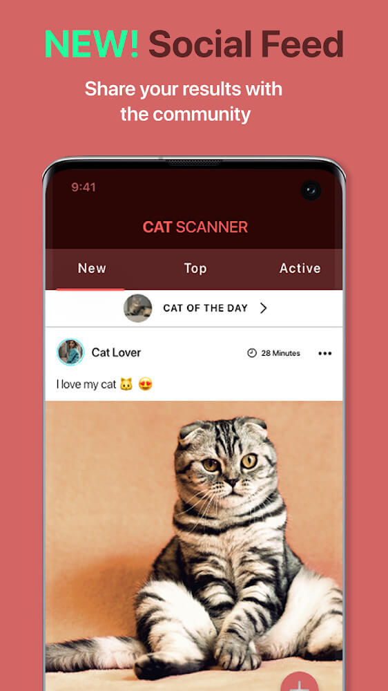 Cat Scanner screenshot 5