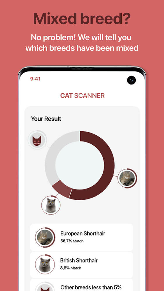 Cat Scanner screenshot 3